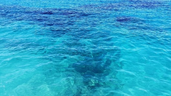 Un'enorme quantità d'acqua dell'oceano viene assorbita dalle linee di faglia tettonica. Dove va a finire?