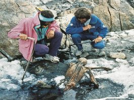 L’uomo di Similaun, un cold case di 7000 anni fa