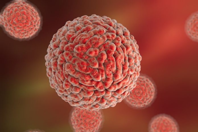 In difesa dei virus