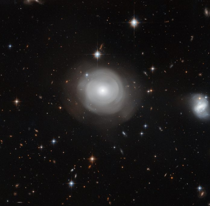 La galassia solitaria che abita nel vuoto locale