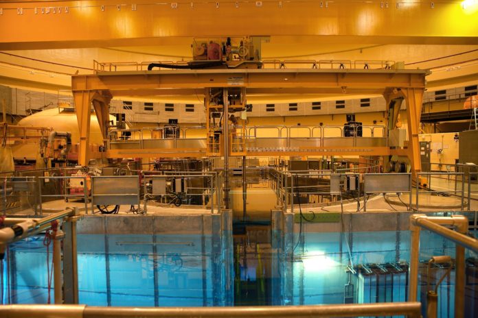 Cosa accadrebbe se nuotaste in una piscina di contenimento di materiale radioattivo?