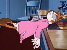 Una nuova ricerca spiega a cosa serve il sonno e come cambia con l'età