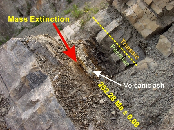 Permian Triassic extinctions timed differently on land and at sea
