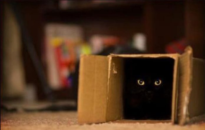 Il gatto di Schrödinger nella vita reale