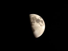 La Luna potrebbe aver favorito la vita sulla Terra