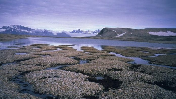 Siberia: lo scongelamento del permafrost libera antrace