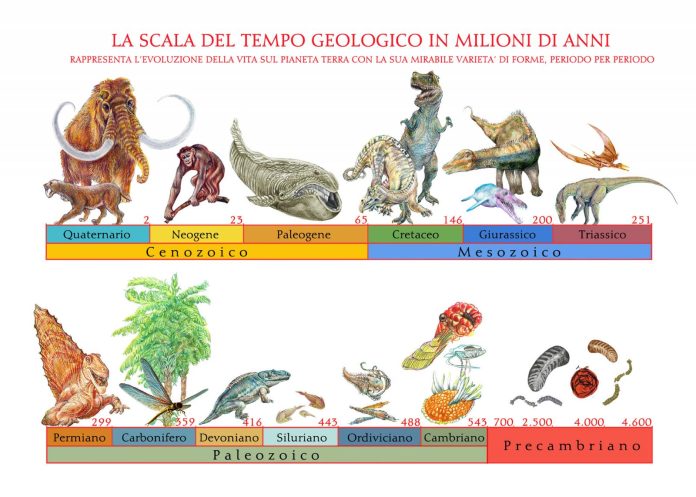 Quando e come sono comparsi i primi animali?