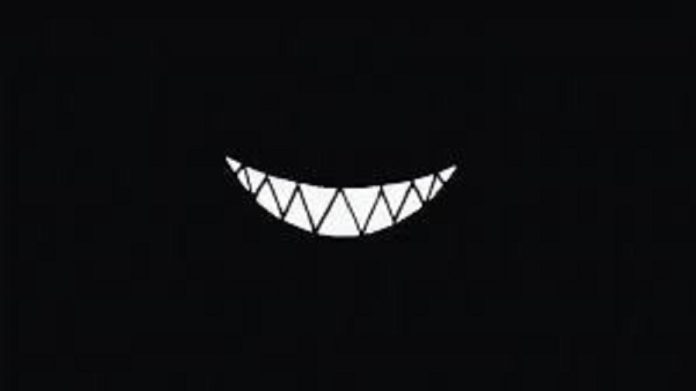 Il sorriso del gatto di Schrödinger
