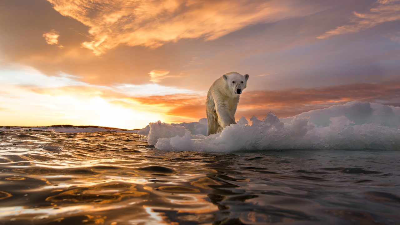 Cambiamenti climatici, siamo vicini ad un punto di non ritorno, cambiamento climatico 