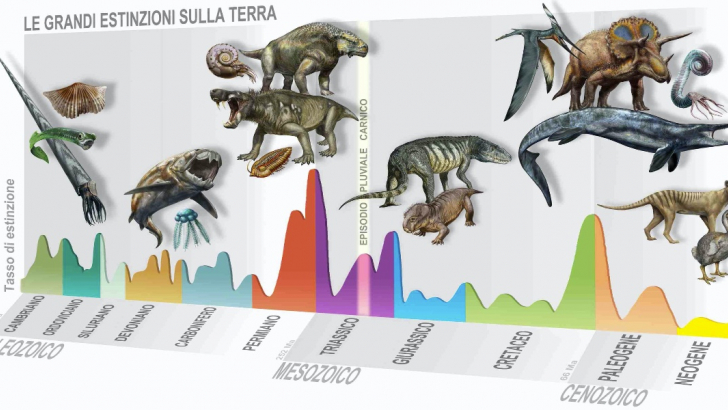 Grande evento di ossidazione di 2,43 miliardi di anni fa. Quali furono le conseguenze 1