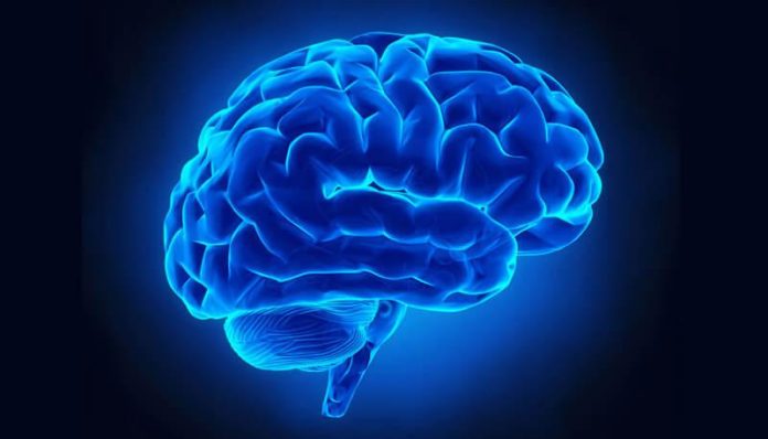 Tre cose sbagliate che si dicono sul cervello umano