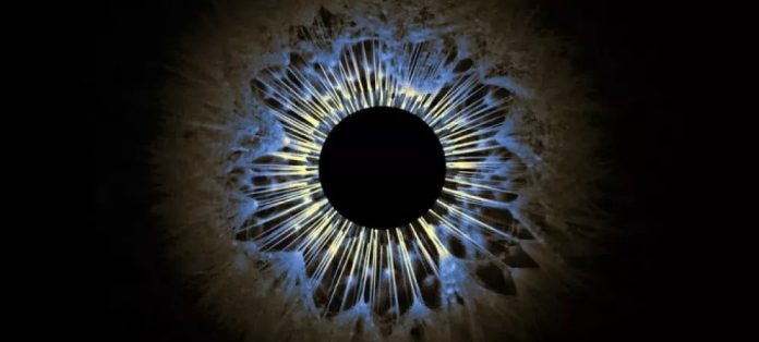 Morte per buco nero primordiale