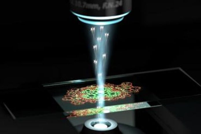 Il microscopio quantistico in grado di vedere l'impossibile