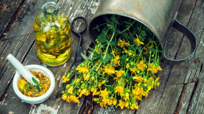 Olio di iperico: rimedio miracoloso, non solo per la pelle