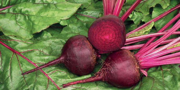 La barbabietola: ortaggio rosso ricco di proprietà benefiche