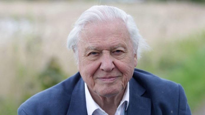 David Attenborough: bisogna fermare la crescita della popolazione umana