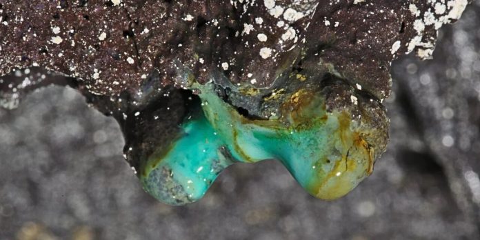 Le antiche grotte di lava delle Hawaii pullulano di batteri insoliti