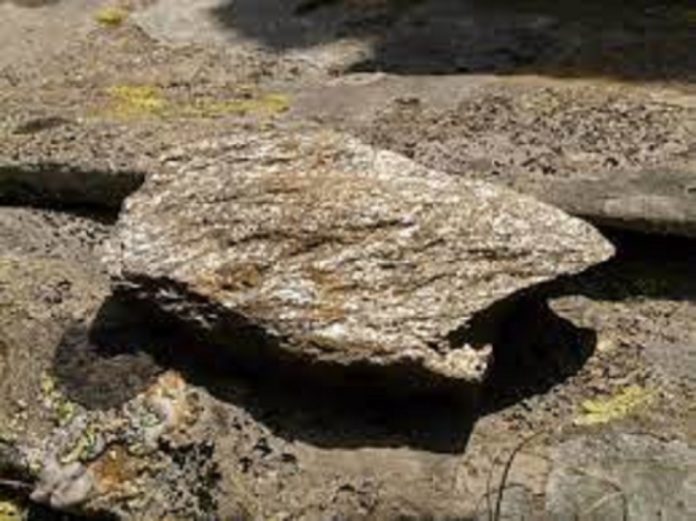 La vita ha avuto inizio nell'argilla micacea?