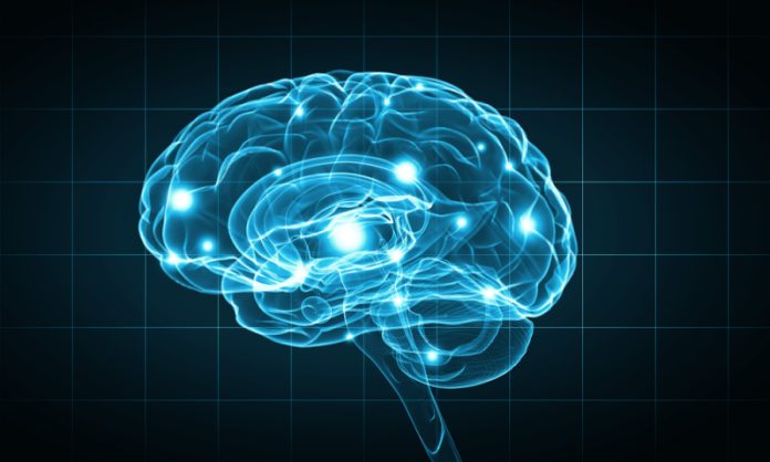 Dove risiede la coscienza nel cervello?
