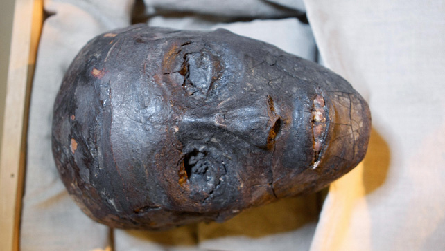 5 indizi scientifici scoperti sul misterioso Tutankhamon 2 Il volto del faraone Tutankhamon è mostrato in un caso climatizzato presso la sua tomba nella Valle dei Re nel 2007. (Cris Bouroncle/AFP/Getty Images)