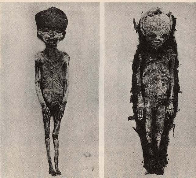 5 indizi scientifici scoperti sul misterioso Tutankhamon 3 Fotografie di mummie di 317a e 317b, i figli di Tutankhamon. (Wikimedia Commons)