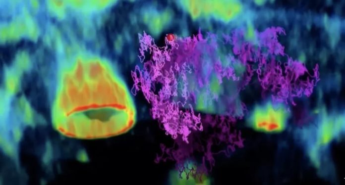 Virus filmato mentre tenta di invadere una cellula