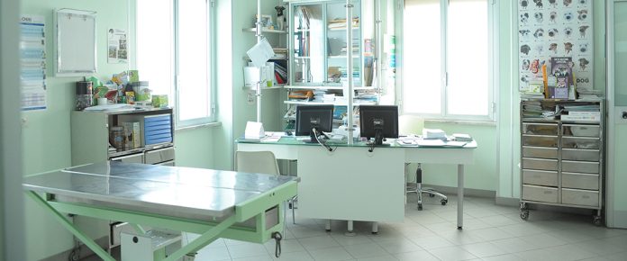 A Roma il primo ospedale pubblico per animali da compagnia
