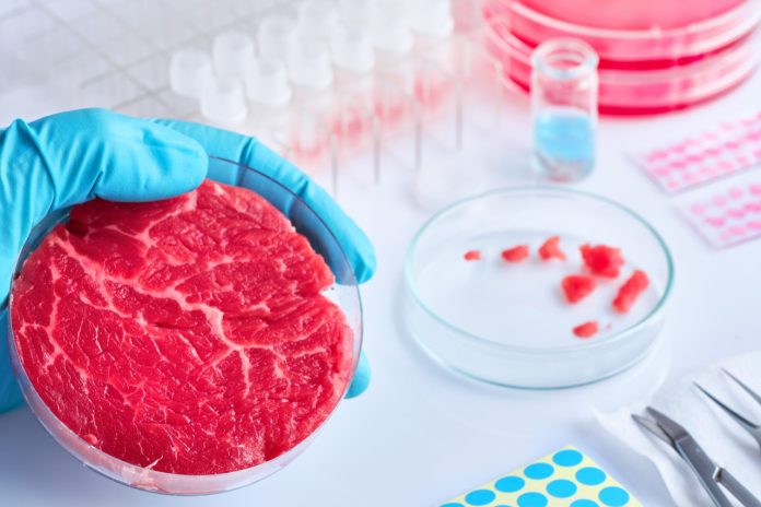 La carne coltivata in laboratorio un po' più vicina agli scaffali dei supermercati