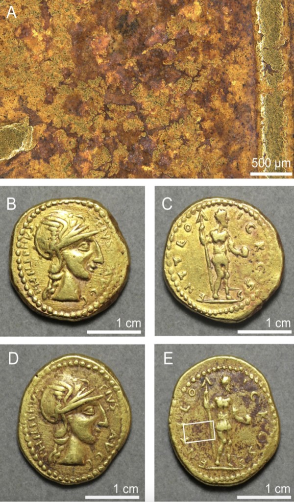 Autenticate rare monete raffiguranti uno sconosciuto imperatore romano 1 La prova della "fusione" suggerisce che sono autentiche