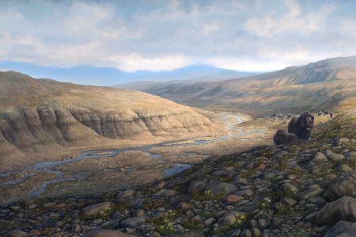 Identificato DNA di 2 milioni di anni