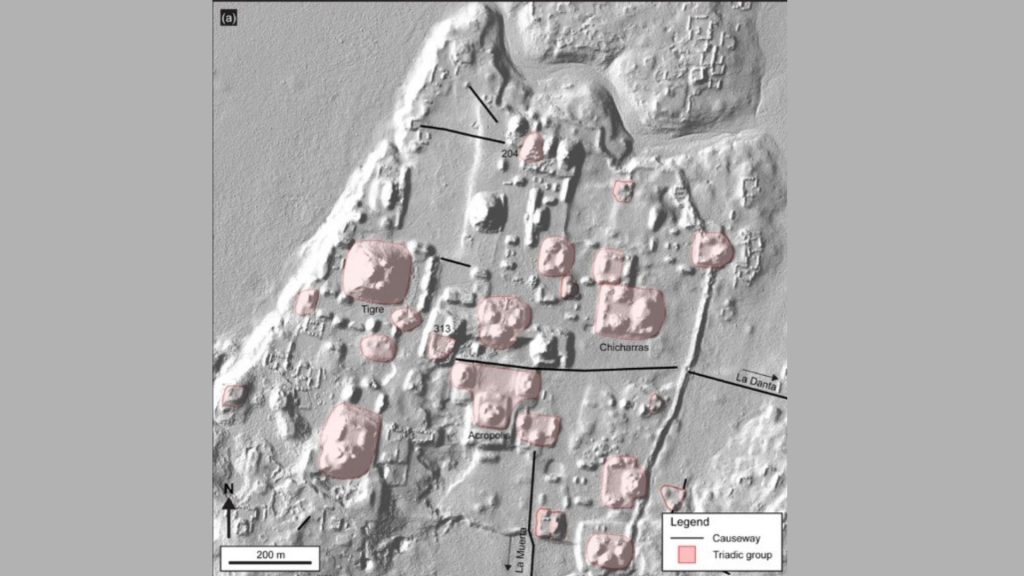 Sito Maya di 2000 anni scoperto in Guatemala 1 Immagine LiDAR che mostra le strutture triadiche nel centro civico di El Mirador.