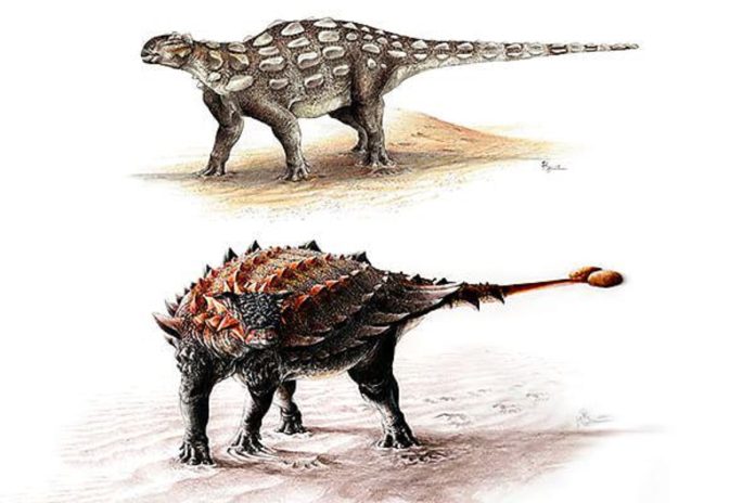 dinosauri