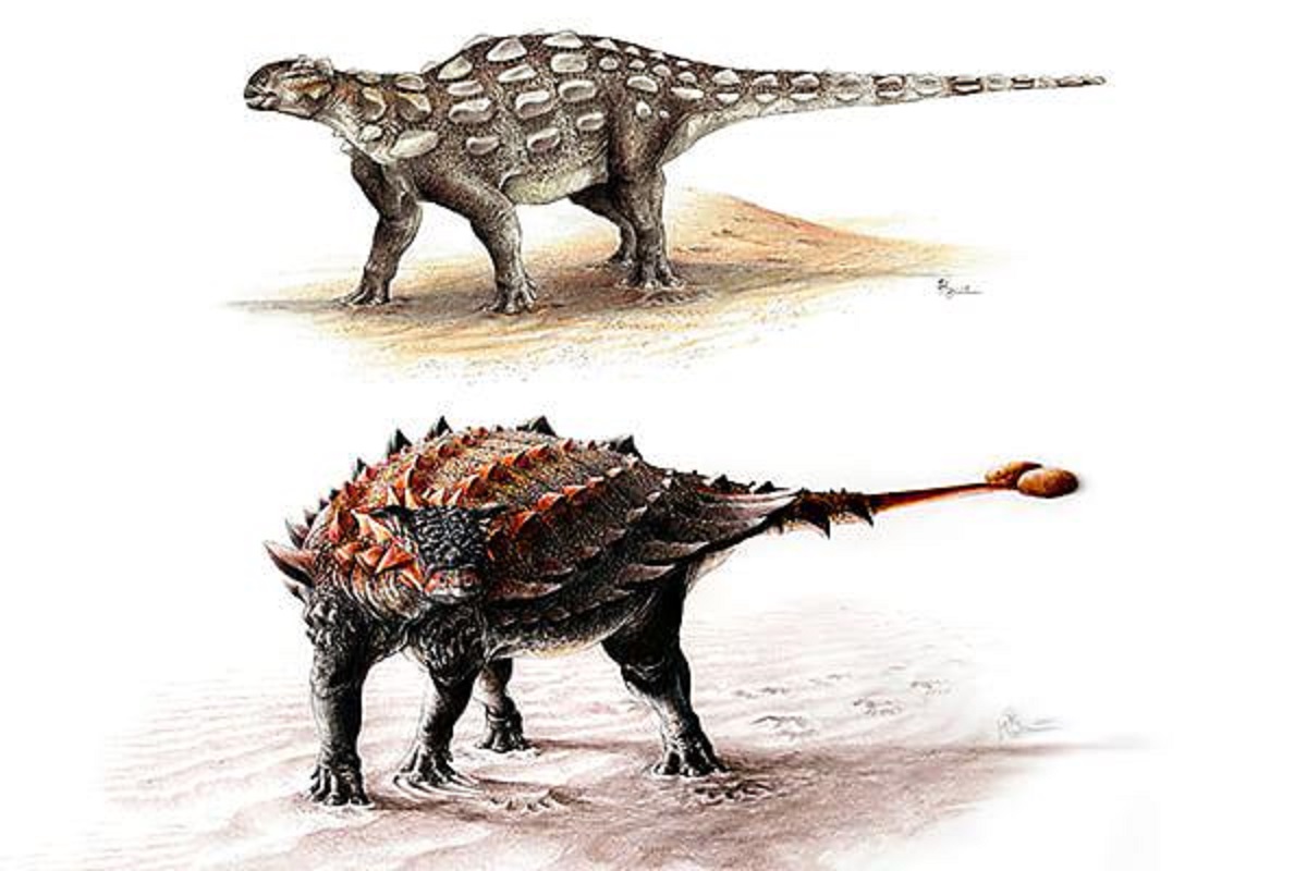 dinosauri