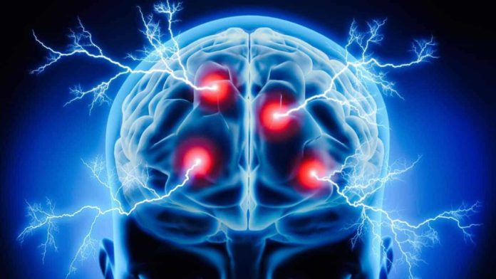 Il cervello: quanta energia consuma?