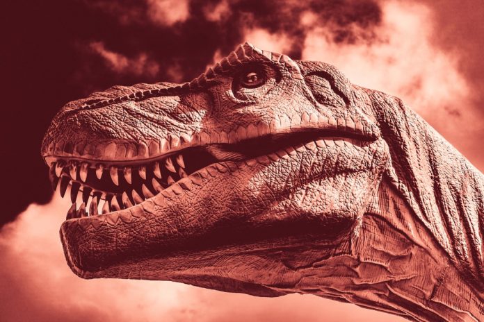 Dinosauri: Quali versi emettevano davvero? - Video, regola di Bergmann