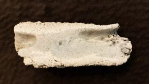 folgorite1