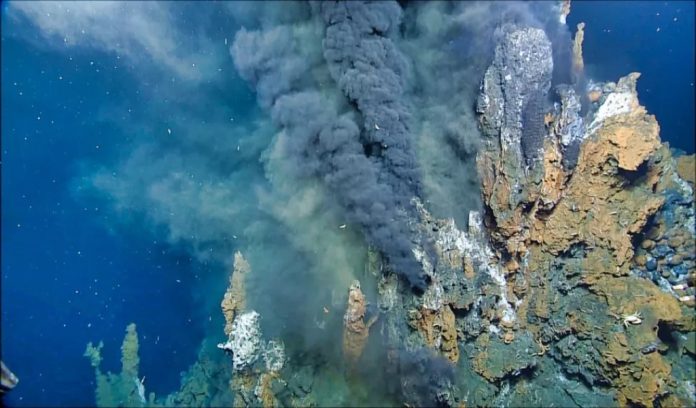 Quale fonte di energia ha innescato l'evoluzione della vita?