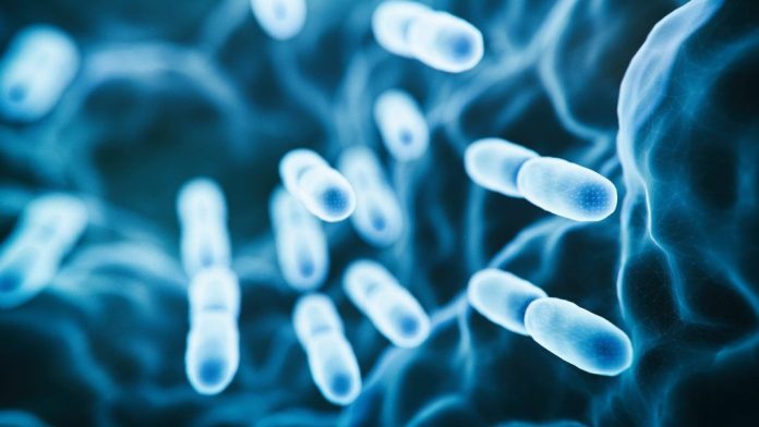 Scoperto un enzima che trasforma l'aria in energia