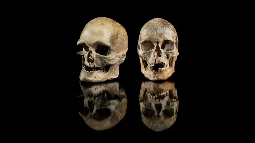 Scoperto un lignaggio umano precedentemente sconosciuto 1 Questi crani maschili e femminili sono stati trovati a Oberkassel, nella Germania occidentale, anche se geneticamente questi due sarebbero originari del sud. Si ritiene che questa sia la più antica prova di migrazione durante un riscaldamento climatico.(Credito immagine: Jürgen Vogel, LVR-LandesMuseum Bonn)