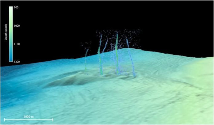 Un misterioso fluido caldo fuoriesce dal fondale marino
