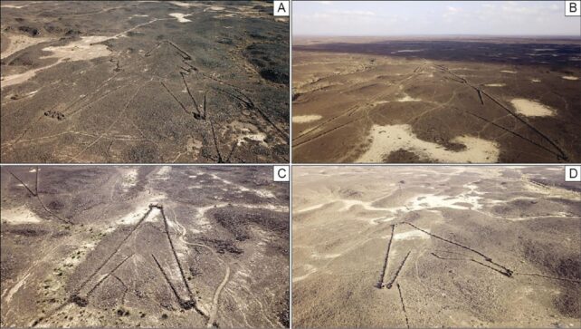 I più antichi progetti di costruzione in antiche incisioni di 8000 anni 1 Esempi di aquiloni del deserto trovati nel deserto dell'Arabia Saudita. ( KLDAP )