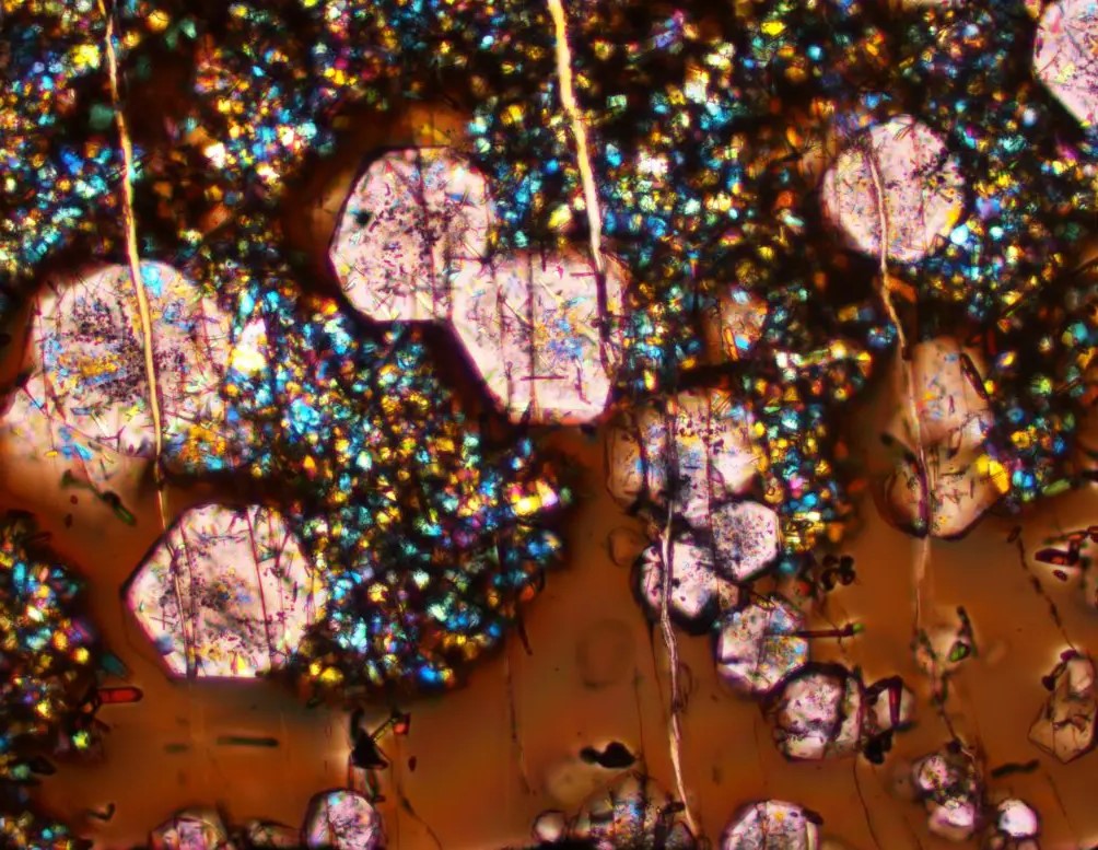 Nuovi indizi sulla formazione della crosta terrestre 1 Un'immagine al microscopio di un esperimento condotto per questo studio. L'immagine contiene vetro (marrone), grandi granati (rosa) e altri piccoli cristalli minerali. Il campo visivo è largo 410 micron, circa le dimensioni di un cristallo di zucchero. Credito: G. Macpherson e E. Cottrell, Smithsonian