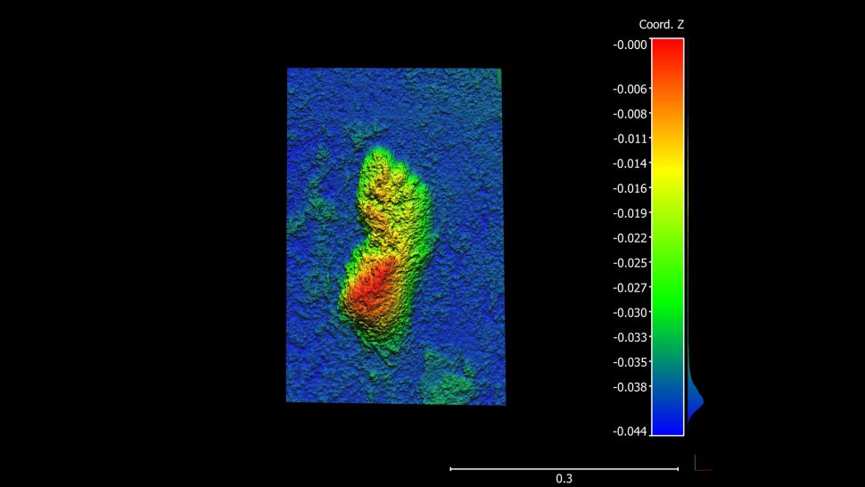 Trovate impronte di Homo sapiens risalenti a 153.000 anni fa 1 Un'immagine della traccia fotogrammetrica 3D da un sito vicino alla posizione delle stampe più antiche. Questa traccia è più giovane, nella fascia di età compresa tra 76.000 e 90.000 anni, ma l'impronta è molto chiara. (Le scale orizzontali e verticali sono in metri.)(Credito immagine: Charles Helm)