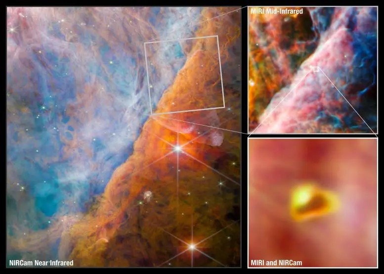 Webb rileva carbonio in un sistema stellare in formazione 1 Queste immagini di Webb mostrano una parte della Nebulosa di Orione nota come Barra di Orione. È una regione in cui la luce ultravioletta energetica proveniente dall'ammasso del trapezio, situata nell'angolo in alto a sinistra, interagisce con dense nubi molecolari. L'energia della radiazione stellare sta lentamente erodendo la barra di Orione, e questo ha un profondo effetto sulle molecole e sulla chimica nei dischi protoplanetari che si sono formati attorno alle stelle appena nate qui.
L'immagine più grande, a sinistra, proviene dallo strumento NIRCam (Near-Infrared Camera) di Webb. In alto a destra, il telescopio è focalizzato su un'area più piccola usando il MIRI (Mid-Infrared Instrument) di Webb. Al centro dell'area MIRI c'è un giovane sistema stellare con un disco protoplanetario chiamato d203-506. Il pullout in basso a destra mostra un'immagine combinata NIRCam e MIRI di questo giovane sistema.
Crediti: ESA/Webb, NASA, CSA, M. Zamani (ESA/Webb), PDRs4ALL ERS Team