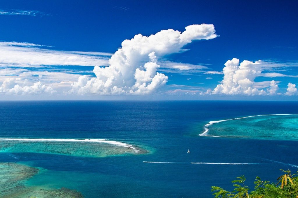 La corrente oceanica protegge alcune barriere coralline nel Pacifico, Atlantico 