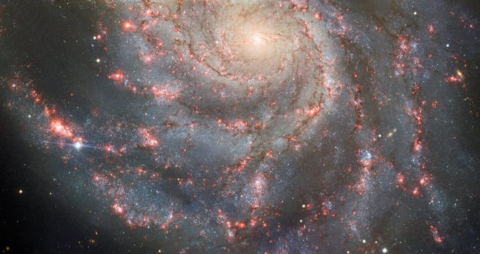 Apparsa una nuova supernova nel cielo notturno