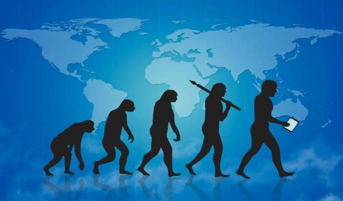 Lo sviluppo dell'arco plantare ha favorito la nostra camminata bipede, perché gli antenati umani hanno perso la coda, evoluzione