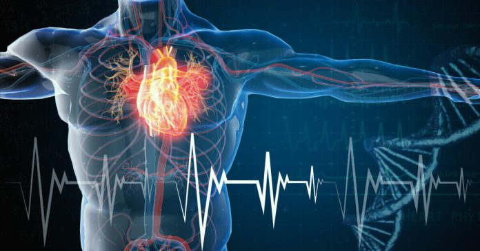 La vitamina D potrebbe aiutare a prevenire le malattie cardiovascolari