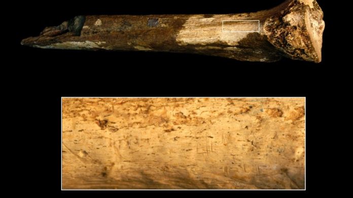 Quale fu il più antico episodio di cannibalismo?