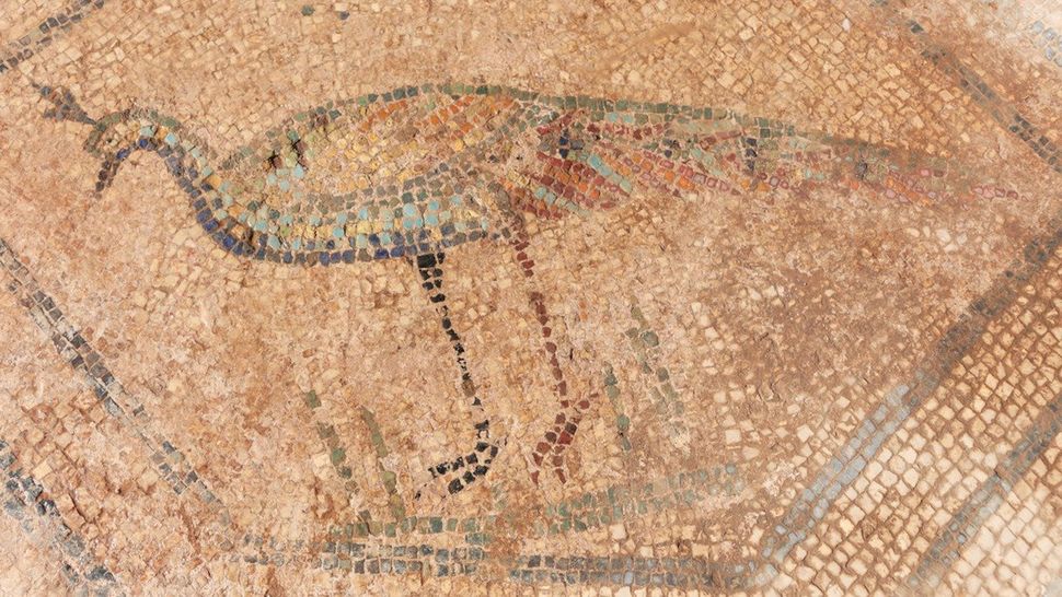 Mosaico raffigurante Medusa rinvenuto in Spagna 1 Il mosaico ha quattro pavoni colorati che rappresentano le quattro stagioni.(Credito immagine: municipio di Mérida)